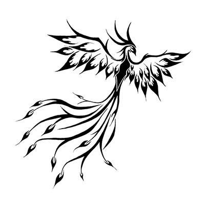 Classic tribal phoenix and ideas Design Water Transfer Temporary Tattoo(fake Tattoo) Stickers NO.10695